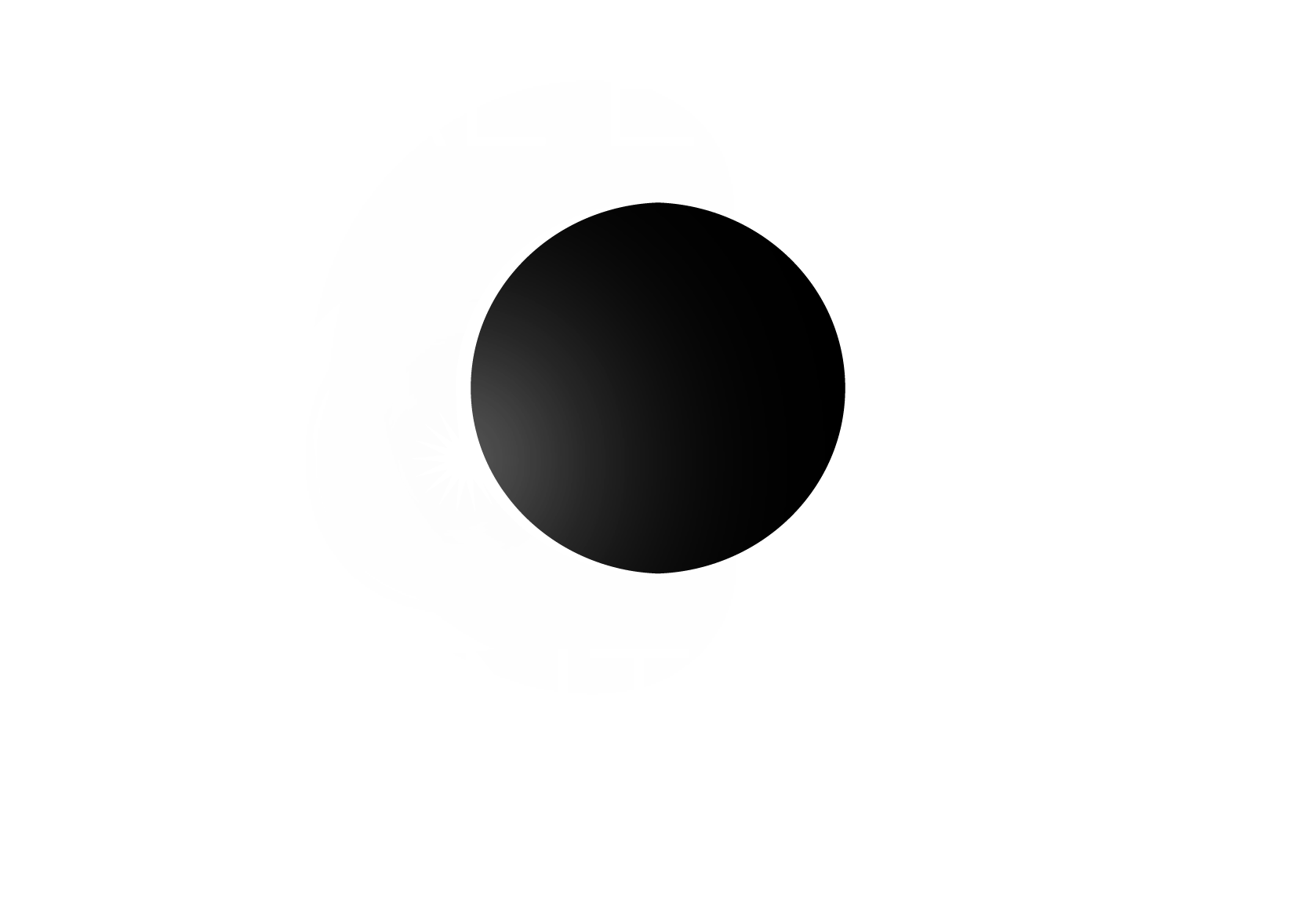 Total Eclipse Tinting